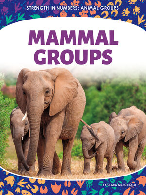 cover image of Mammal Groups
